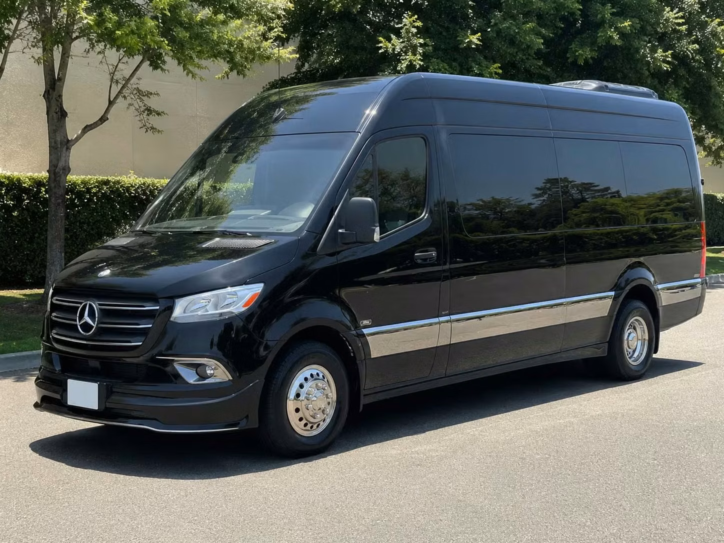 sprinter van with driver