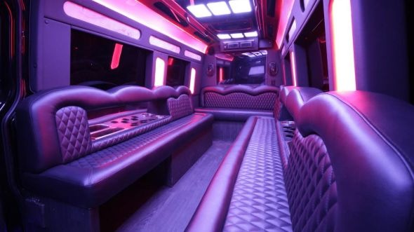 gary sprinter limo rental rental